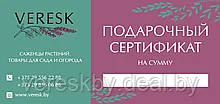 Подарочный сертификат