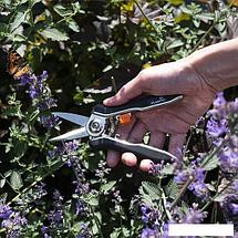 Ножницы для флористики Plantic 35306-01, фото 3