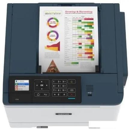 Принтер Xerox C310, фото 2