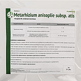Биоинсектицид от садовых вредителей "Метаризин", 1кг, фото 2
