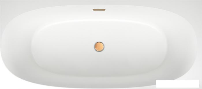 Пристенная акриловая ванна Wellsee Belle Spa 2.0 235806004, 170*75 см (правая), цвет белый глянец. Набор 4 в - фото 5 - id-p225463846