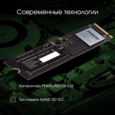 SSD накопитель DIGMA PRO Top P6 DGPST5002TP6T4 2ТБ, M.2 2280, PCIe 5.0 x4, NVMe, M.2, rtl - фото 3 - id-p225820263