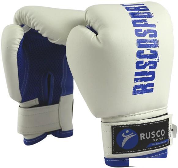 Тренировочные перчатки Rusco Sport 10 oz (белый/синий) - фото 1 - id-p225826628
