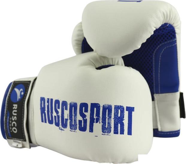 Тренировочные перчатки Rusco Sport 10 oz (белый/синий) - фото 2 - id-p225826628