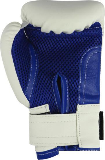 Тренировочные перчатки Rusco Sport 10 oz (белый/синий) - фото 6 - id-p225826628