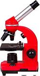 Детский микроскоп Bresser Junior Biolux SEL 40–1600x 74320 (красный), фото 4