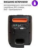 Беспроводная колонка Aiwa CAS-200, фото 5