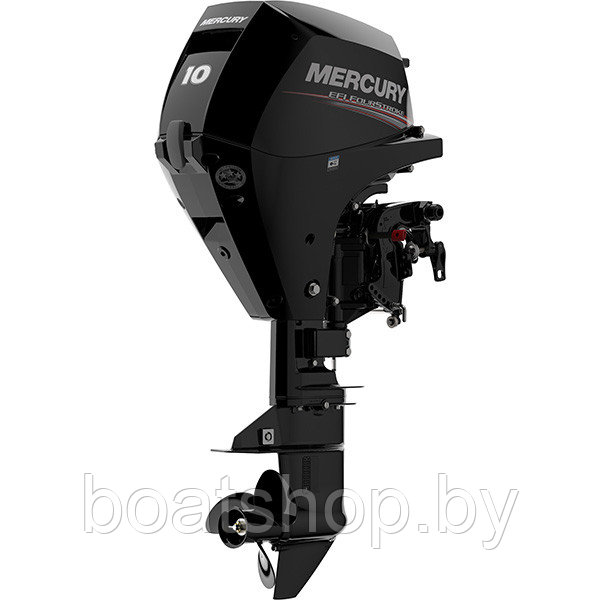 Подвесной лодочный 4-х тактный мотор Mercury F10 E EFI - фото 1 - id-p226671892