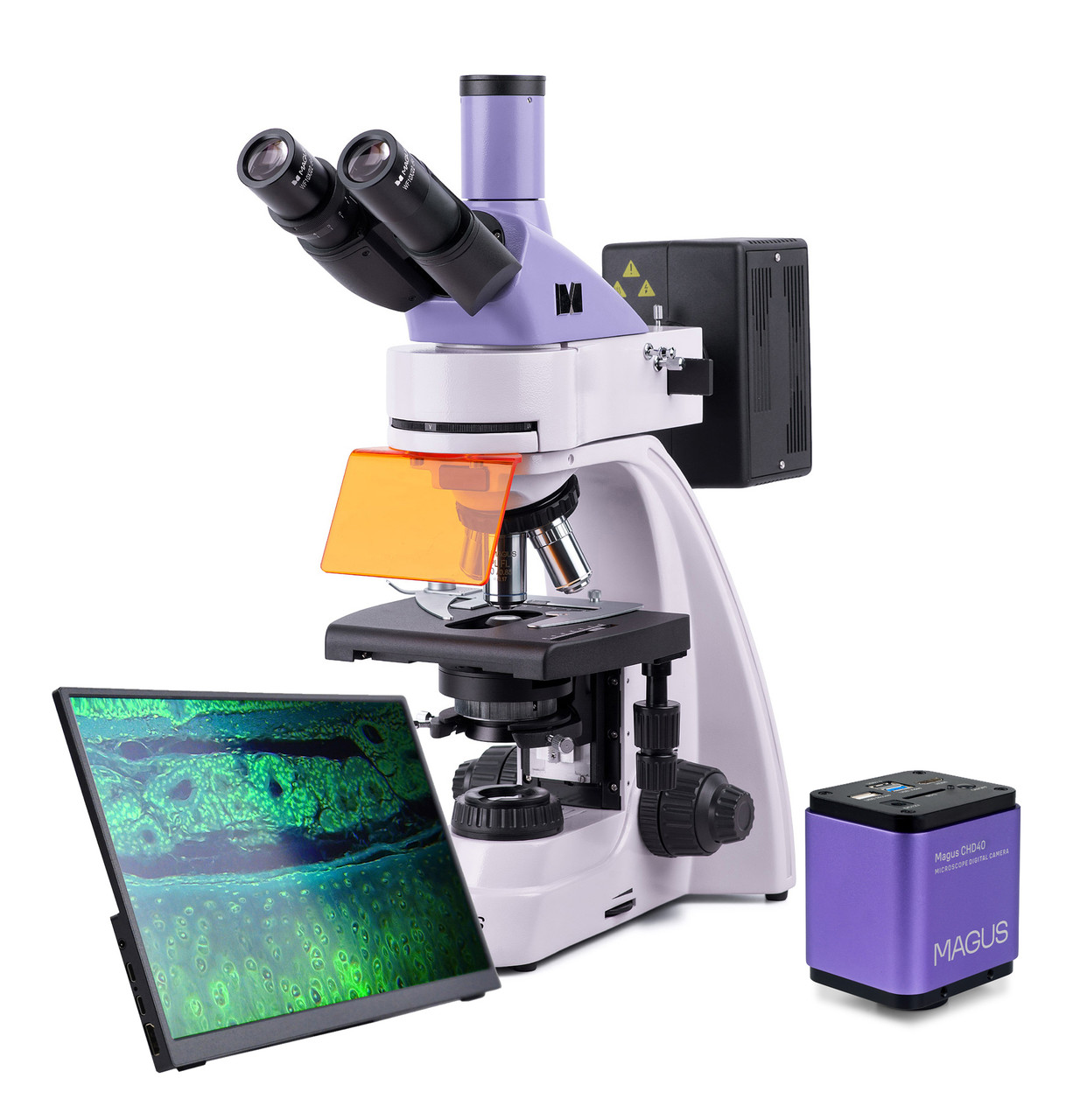 Микроскоп люминесцентный цифровой MAGUS Lum D400 LCD - фото 1 - id-p223971752