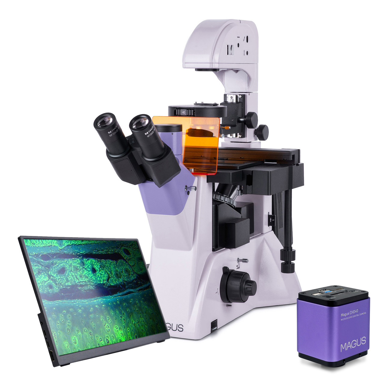 Микроскоп люминесцентный инвертированный цифровой MAGUS Lum VD500 LCD - фото 1 - id-p223971762