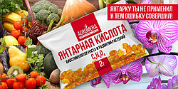 «Янтарку» ты не применил и тем ошибку совершил!