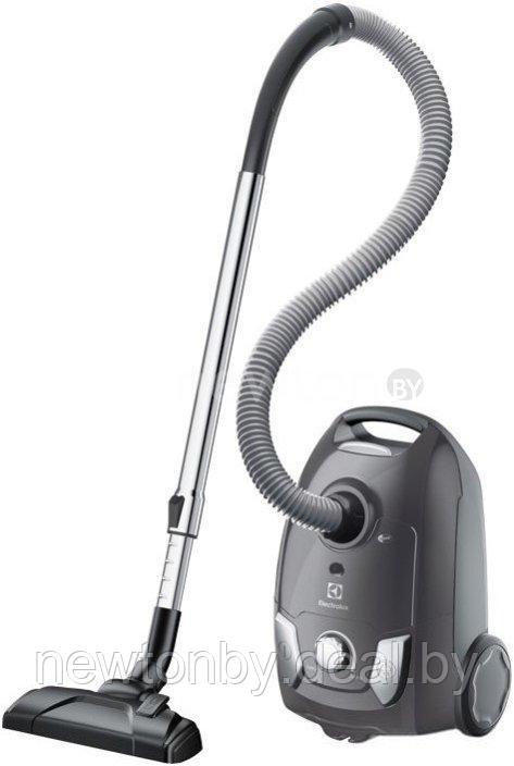 Пылесос Electrolux EEG44IGM