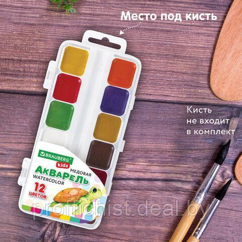 Краски акварельные BRAUBERG KIDS, медовые, 12 цветов, квадратные кюветы, пластиковый пенал ЦЕНА БЕЗ НДС!!! - фото 6 - id-p226697580