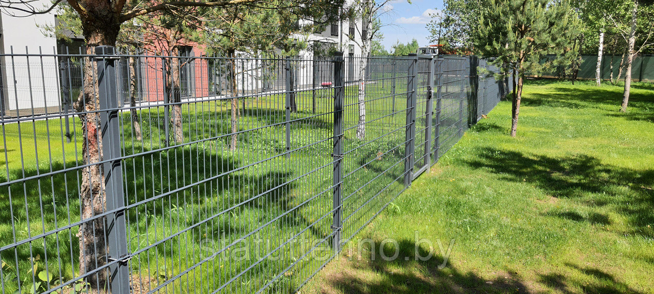 Забор с полимерным покрытием 2D - фото 2 - id-p226698253