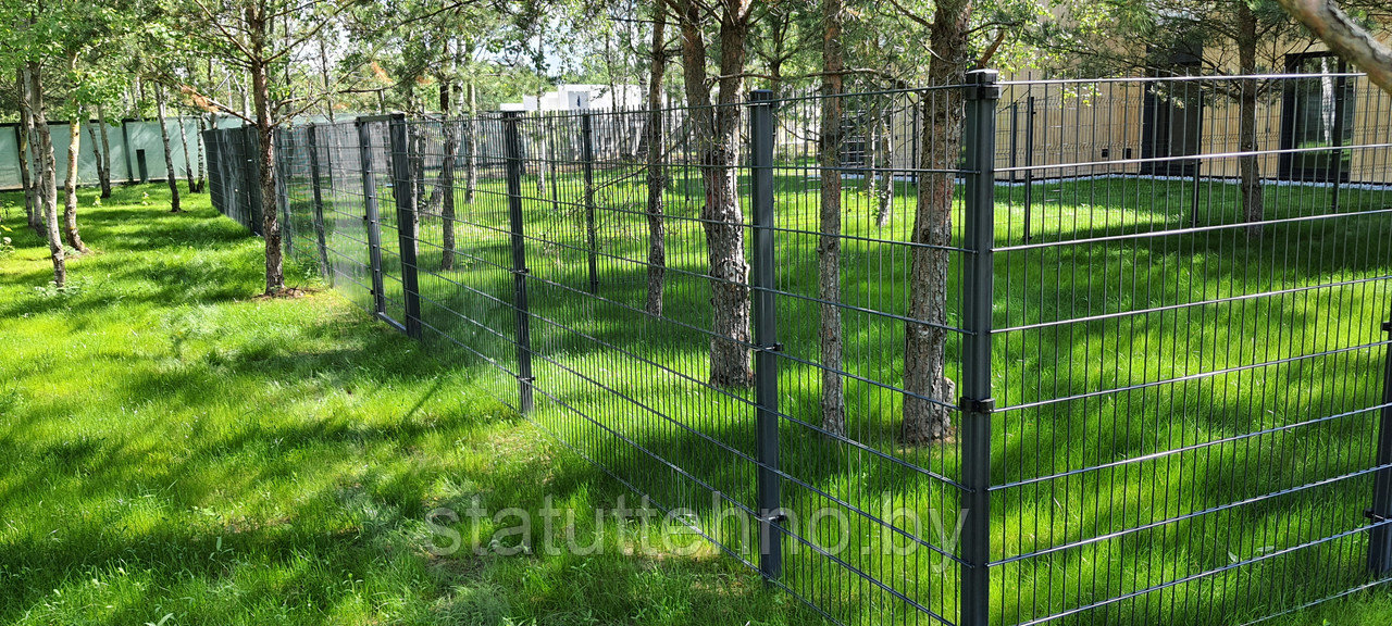 Забор с полимерным покрытием 2D - фото 1 - id-p226698253
