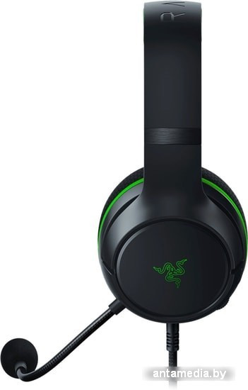 Наушники Razer Kaira X for Xbox (черный) - фото 2 - id-p226701273