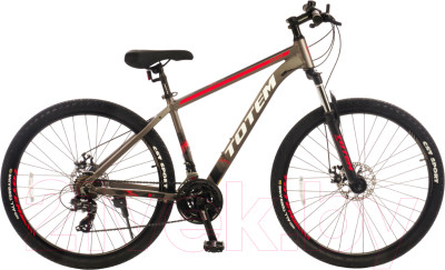 Велосипед TOTEM W860-29MDA / W86029MD19GR-AL - фото 1 - id-p226532128