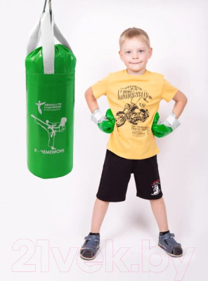 Бокс детский Absolute Champion Я-Чемпион 8кг груша + перчатки - фото 2 - id-p226730839
