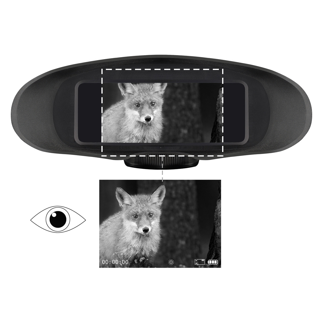 Бинокль ночного видения цифровой Bresser 3,5х, с функцией записи - фото 3 - id-p226630266