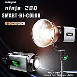 Осветитель Weeylite Ninja 200 +VP-05, фото 2