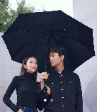 Зонт Daily Elements Super Wind Resistant Umbrella MIU001 Чёрный, фото 2