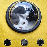 Рюкзак-переноска Little Beast Star Pet School Bag Breathable Space Жёлтый, фото 4