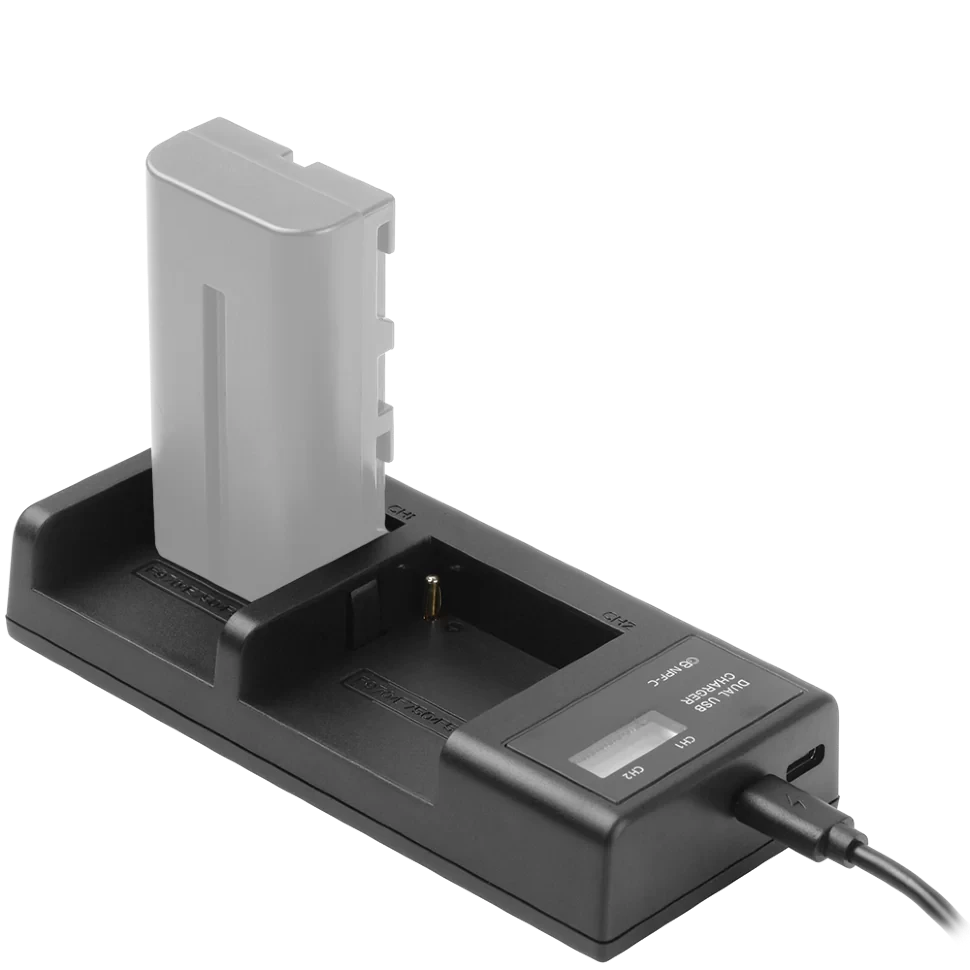 Зарядное устройство GreenBean DualCharger NPF-C - фото 1 - id-p226743713