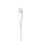 Кабель Apple Lightning - USB 2м (MD819ZM/A), фото 4