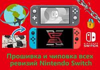 Nintendo Прошивка Nintendo | Чиповка Нинтендо