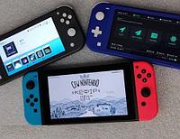 Nintendo Прошивка Nintendo Switch / Чиповка консолей Nintendo Switch