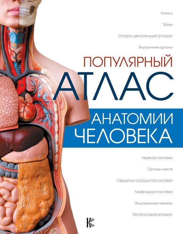 Книга Популярный атлас анатомии человека - фото 1 - id-p226752479