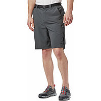 Шорты мужские Columbia Silver Ridge Cargo Shorts серый 1441701-028