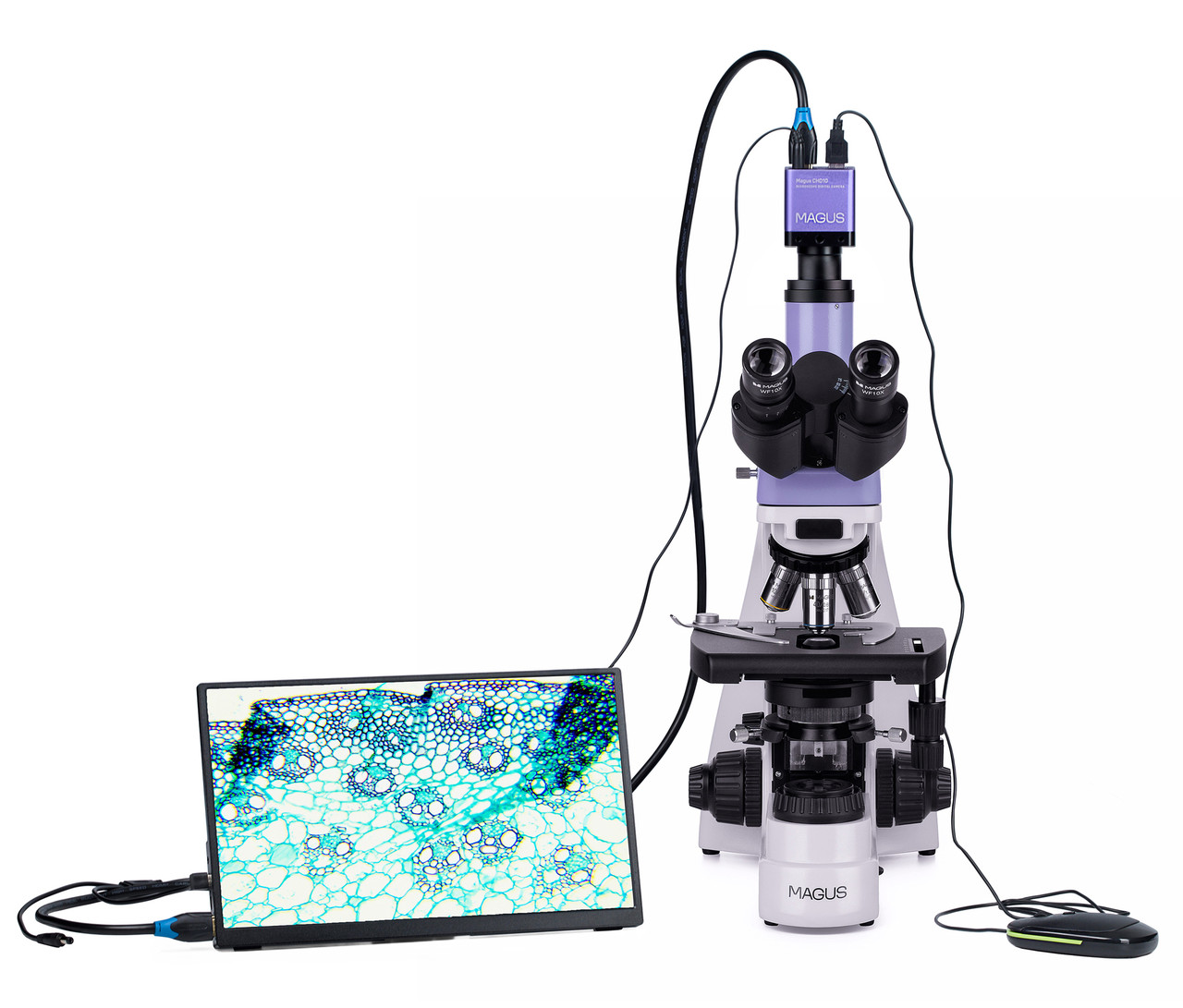 Микроскоп биологический цифровой MAGUS Bio D230T LCD - фото 6 - id-p223971727