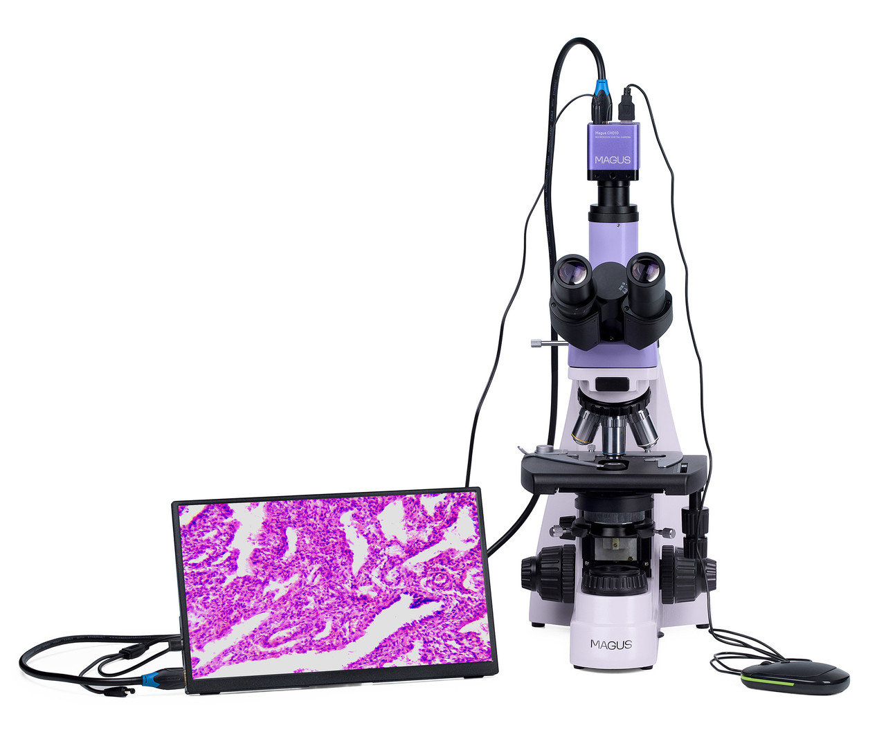Микроскоп биологический цифровой MAGUS Bio D250TL LCD - фото 7 - id-p223971730