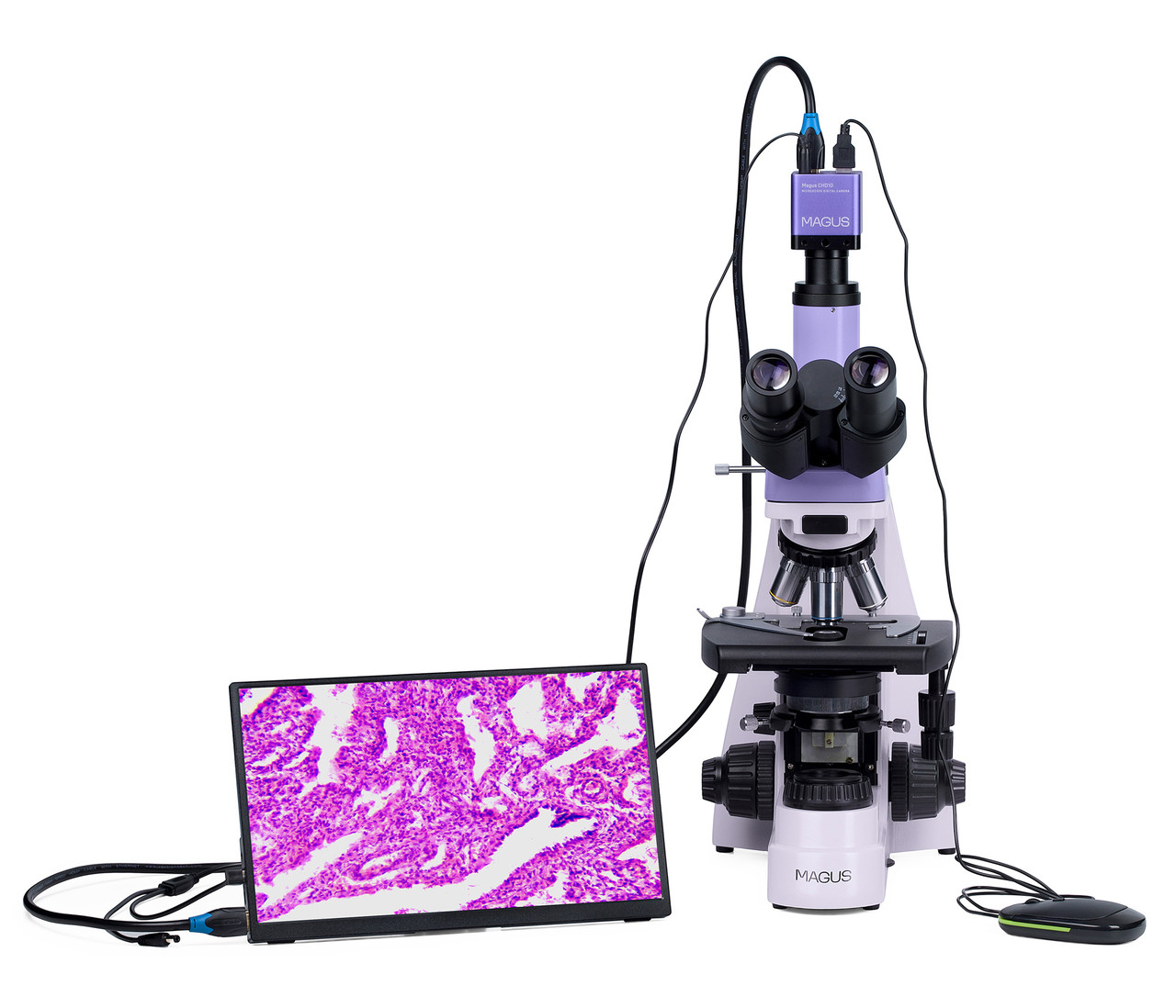 Микроскоп биологический цифровой MAGUS Bio D250T LCD - фото 7 - id-p223971731
