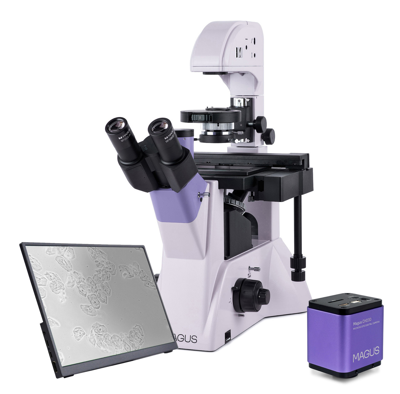 Микроскоп биологический инвертированный цифровой MAGUS Bio VD350 LCD - фото 1 - id-p223971740
