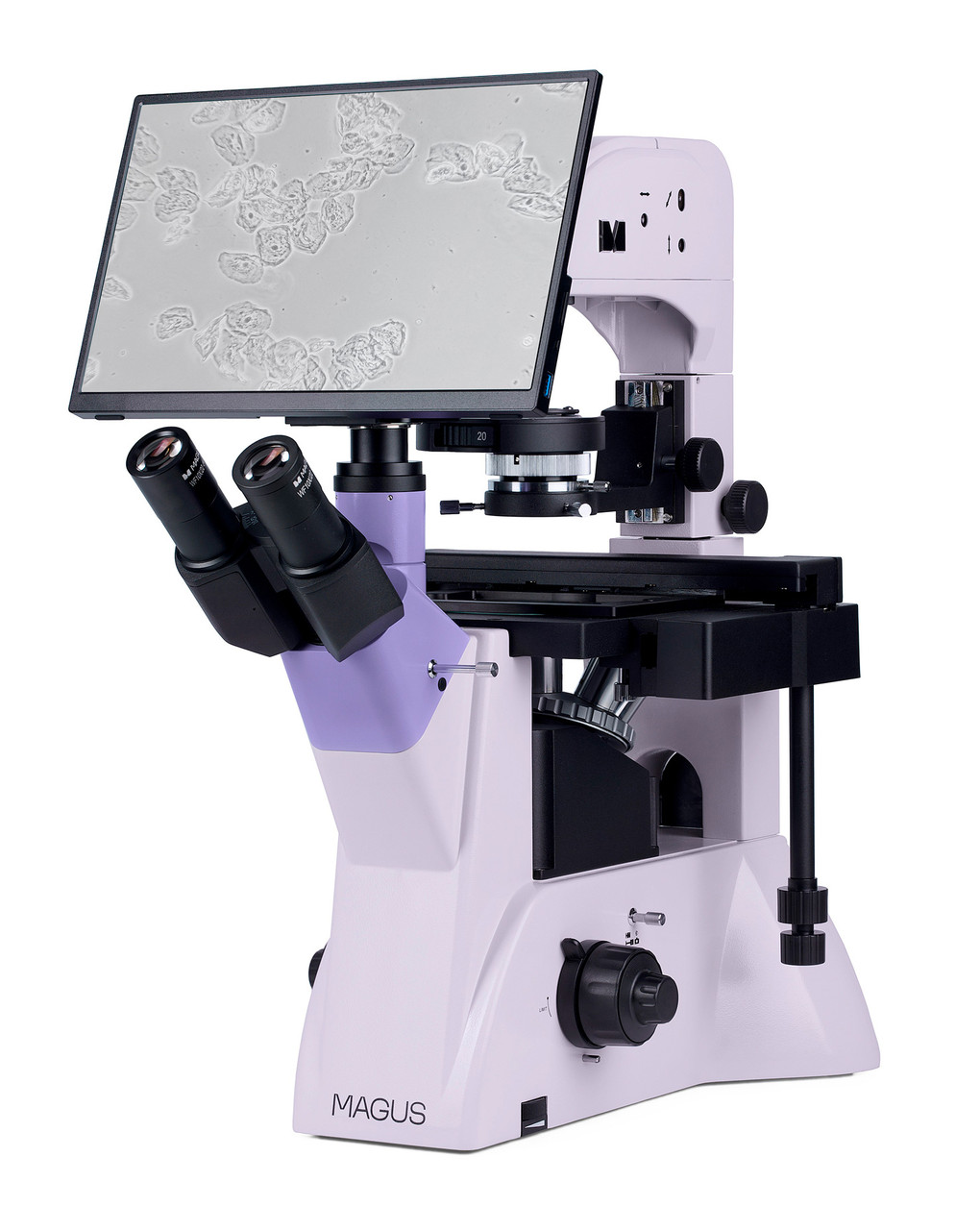 Микроскоп биологический инвертированный цифровой MAGUS Bio VD350 LCD - фото 3 - id-p223971740