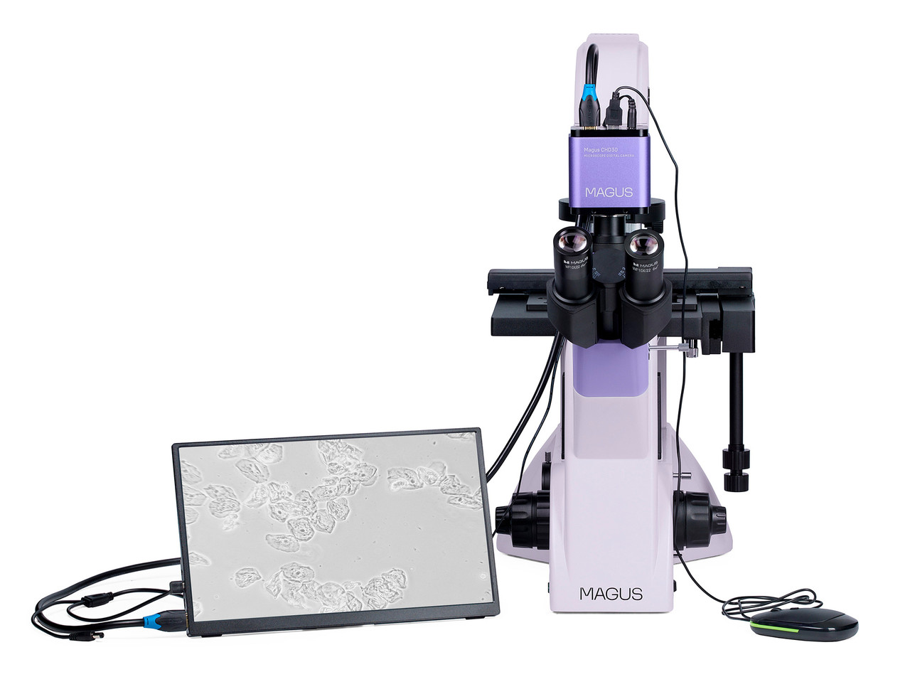 Микроскоп биологический инвертированный цифровой MAGUS Bio VD350 LCD - фото 6 - id-p223971740