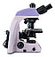 Микроскоп биологический MAGUS Bio 260T, фото 6