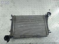 Радиатор интеркулера Volkswagen Passat B6
