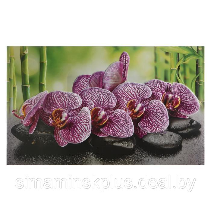Кухонный фартук "Орхидея ванда", 1000x600x0,5 - фото 1 - id-p226764411