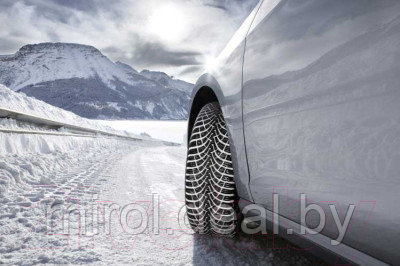 Зимняя шина Goodyear UltraGrip 9+ 205/55R16 91T - фото 5 - id-p226766312