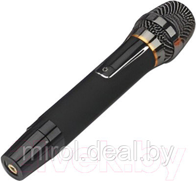 Радиосистема микрофонная Biema USB-101 - фото 1 - id-p226768812