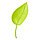 Воронка для полива растений в форме листа, фото 4
