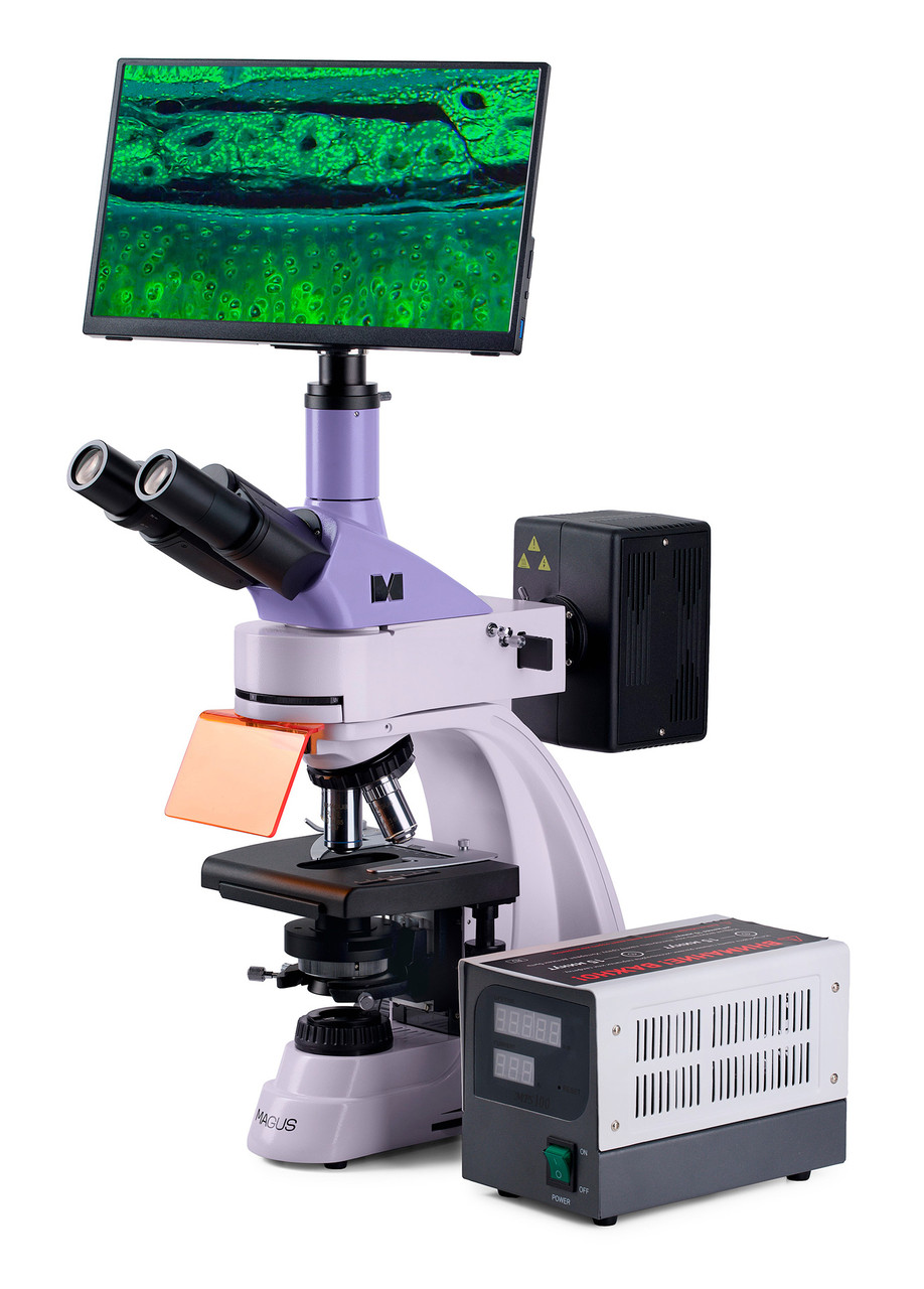 Микроскоп люминесцентный цифровой MAGUS Lum D400 LCD - фото 3 - id-p223971752
