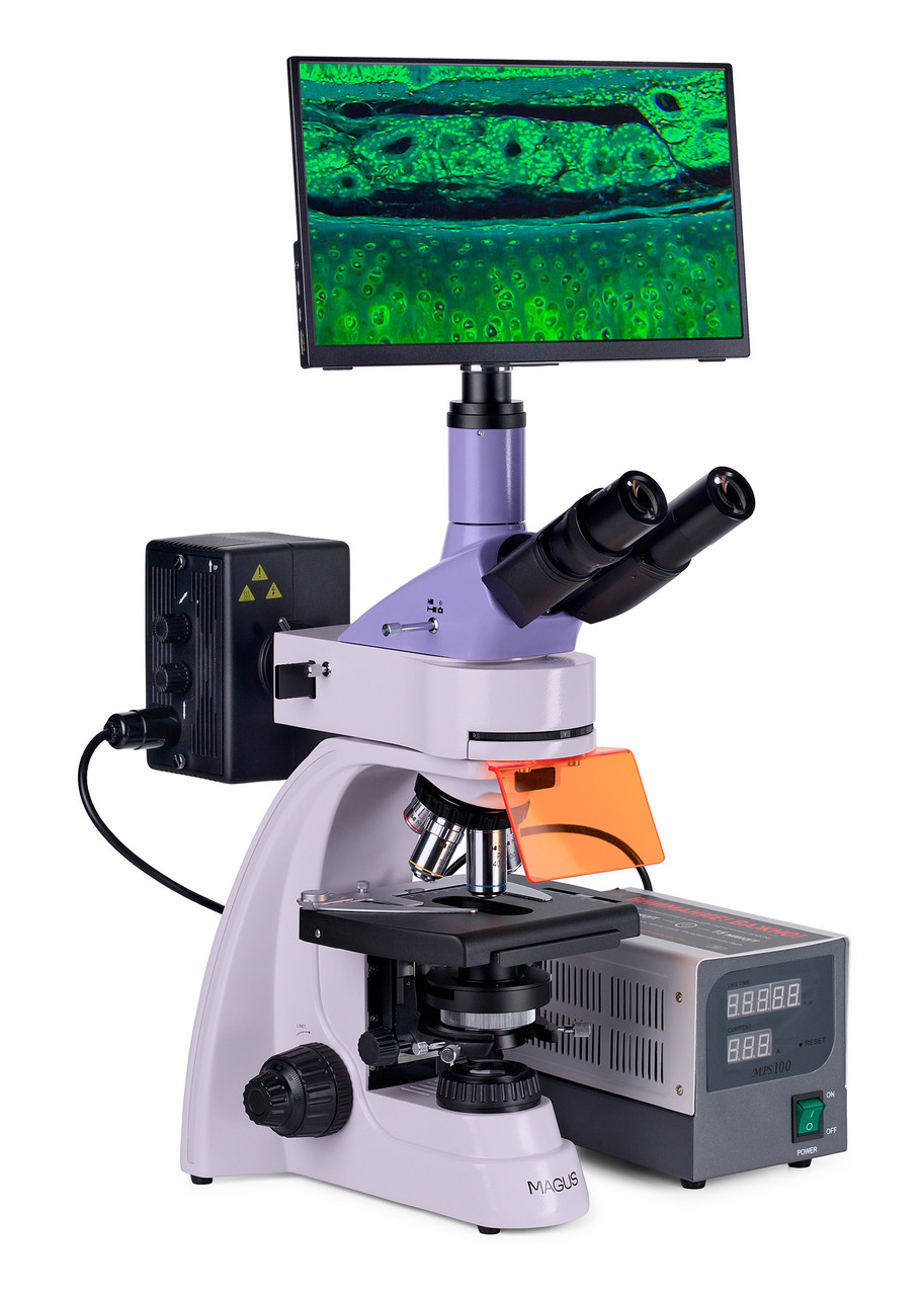 Микроскоп люминесцентный цифровой MAGUS Lum D400 LCD - фото 4 - id-p223971752