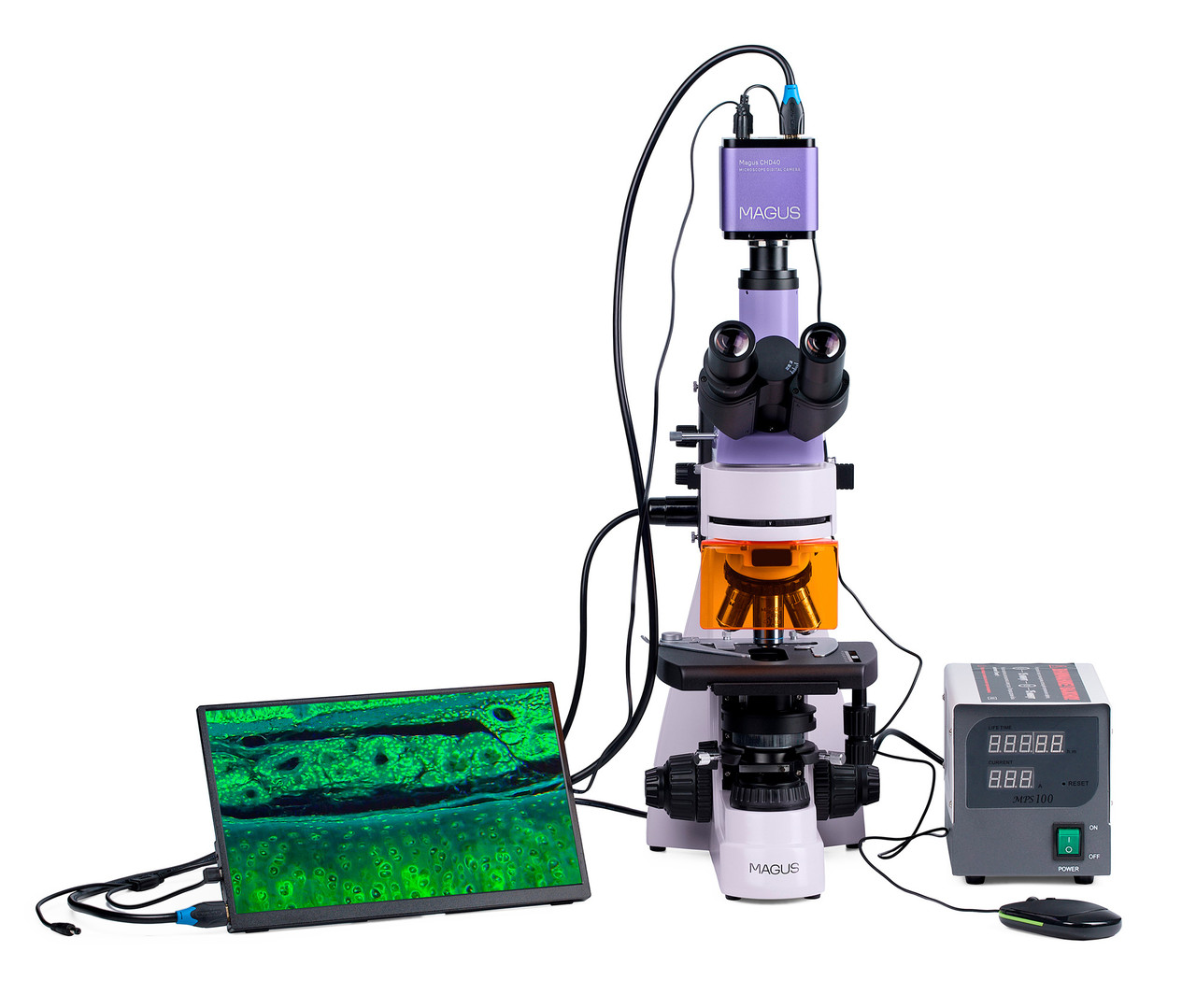 Микроскоп люминесцентный цифровой MAGUS Lum D400 LCD - фото 6 - id-p223971752
