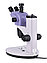 Микроскоп стереоскопический цифровой MAGUS Stereo D9T LCD, фото 4