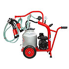 Доильный аппарат LIDER Mustang, фото 2