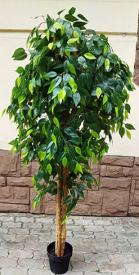 Искусственное растение ForGarden Дерево Ficus Benjamin Baft Tree / FGN BF00568 - фото 3 - id-p226219241